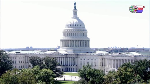 TWO CATS U.S. POLITICAL NEWS