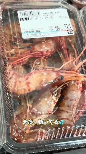 【増毛町】海鮮買って海辺で車中泊｜お刺身とおつまみで乾杯🍺