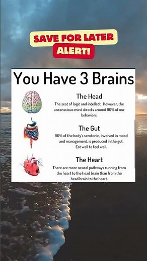 Understanding Your 3 Brains: Head, Gut, and Heart Connection Explained"