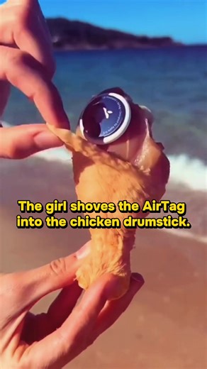 THE CHOSEN WING: A MILWAUKEE ODYSSEY 🍗🌊📍 From the Atlantic coast to the heart of Milwaukee, the legend is real! We tracked this bird across thousands of miles, and its final destination was none other than Mekong Cafe. The Golden Hunt has officially begun! Think you have what it takes to find the winning ticket? ✨ How to Play: 1️⃣ Grab a Banh Mi. 2️⃣ Check the wrapper carefully for the Golden Ticket. 3️⃣ Claim your Crispy Bird Prize (The Winning Duo: Banh Mi   Mekong Wings)! Tag us or share y