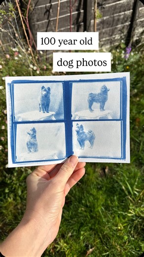 936K views · 88K reactions | Thrifted treasure that’ll steal your...