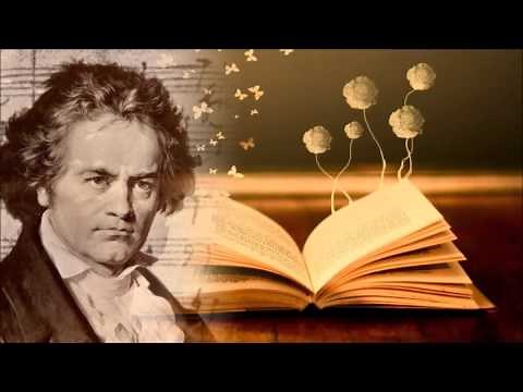 Musica Classica per Studiare e Concentrarsi Beethoven Musica Rilassante per Lavorare Violino