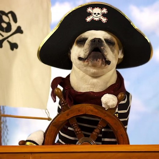 193 reactions · 43 shares | Check in with friends and family with Blue Mountain ecards that’ll make them grin and feel good on any occasion. | BlueMountain.com | Facebook