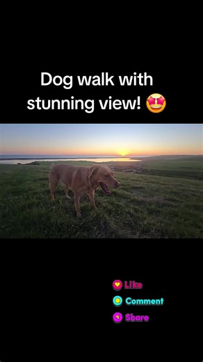 An exceptional walk offering panoramic views of Chesil Beach, Dorset. Truly remarkable. #fyp #dog #view #SUNSET