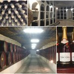 全長120kmのワイナリ…！実はワイン大国のモルドバで「クリコバ」を見学してきた