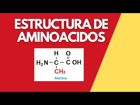 Aminoácidos. Estructura