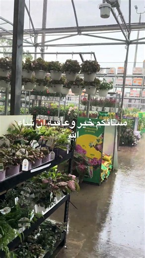 مسائكم خير وعافيه ان شاء الله