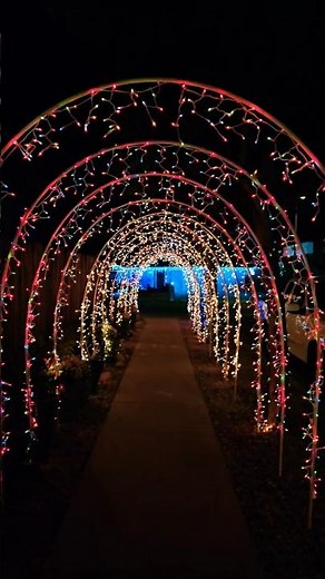 Flamazo Navideño / Los Flamers