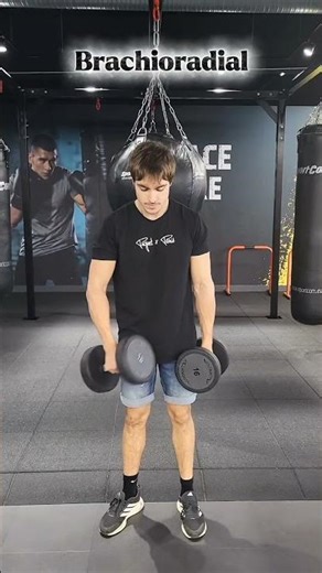 Exercices pour les bras #musculation