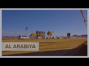 Camels race through the Saudi desert, with jockeys eyeing $21 million prize pool