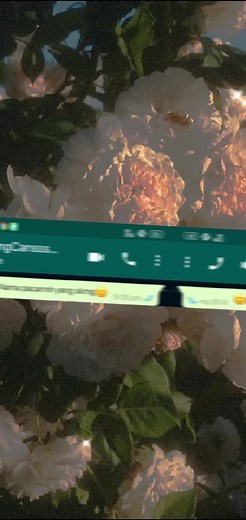 QueenManoyy on TikTok