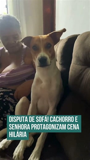 Disputa de sofá! Cachorro e senhora protagonizam cena hilária! 🐶🤣