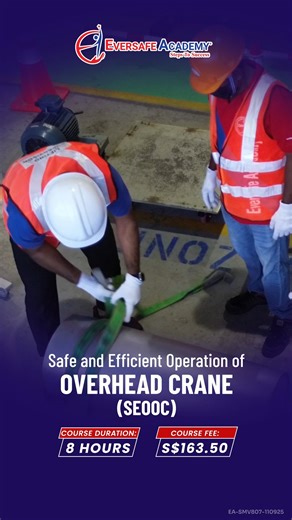 Safe and Efficient Operation of Overhead Crane (SEOOC) |EVERSAFE...