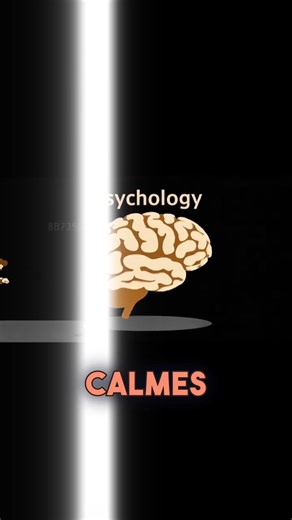 Les individus de type B sont connus pour être calme. 😌 #psychologie #apprendresurtiktok #france #fr