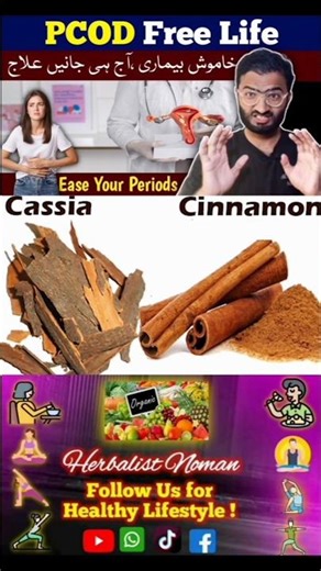 Dalchini Ki Chai Se PCOD Ka Ilaj | Cinnamon Tea for PCOD in Urdu Hindi #pcod