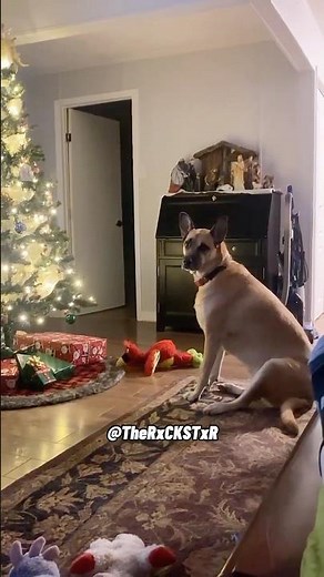 I Really Wanna Open My Present Before Christmas! Another RxCKSTxR Comedy Voiceover!