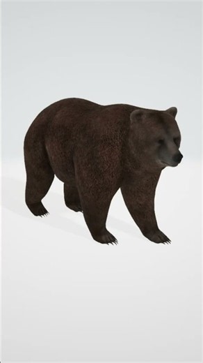 Why This 3D Bear Model Is Perfect For Printing #3dprint #3dmodel #design