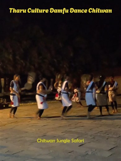 Tharu Culture Damfu Dance #tharuculture #nepaliculture