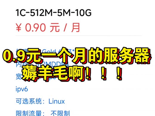 0.9 元一个月的香港服务器？这波羊毛必须薅！！！