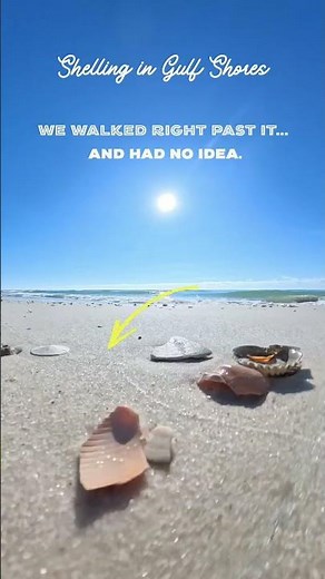 Things to do in Gulf Shores, AL. 🐚 #AlabamasBeaches #vacation
