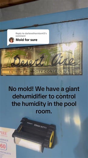 Does an indoor pool room get moldy?