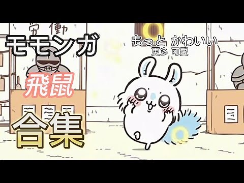 合集 | ちいかわ モモンガ | 吉伊卡哇 飛鼠 | chiikawa momonga [CC 中文/日本語 字幕]