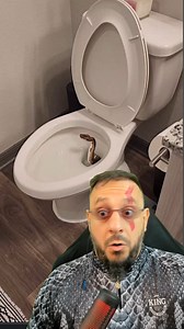 163K views · 3.3K reactions | Cobra dentro do vaso #animais #cobra...