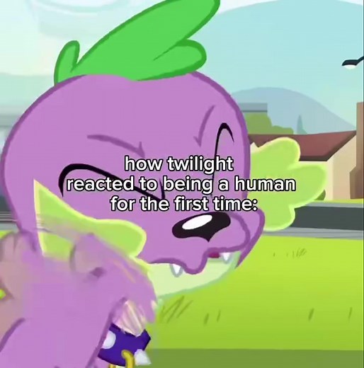 My Little Pony: Friendship is Magic Insights