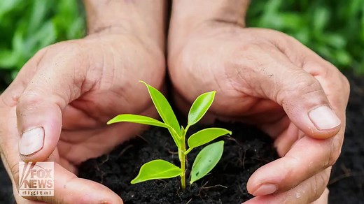 Earth is greener today than it was 20 years ago thanks to 'human activity,' NASA study shows