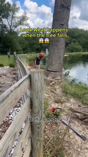 Innovative AI Robots: The Future of Smart Technology