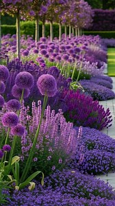 883 reactions · 187 shares | This vibrant bloom is the majestic Allium請, often called an ornamental onion. #flowers #gardening #garden #flowerslovers | Ammy Lia | Facebook
