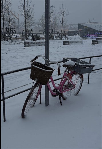 Guide to the Perfect Trip to Stockholm