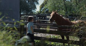 After captivating children and families for 30 years, Alison Lester’s...