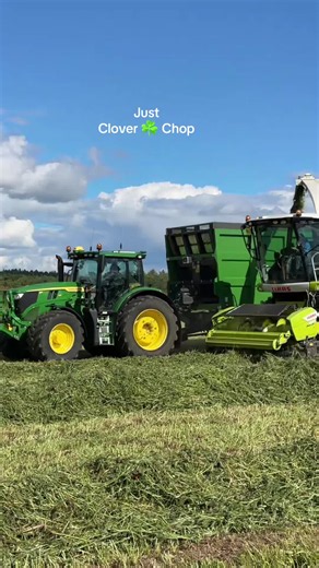 CLAAS forager silage chopping – Leslie Brown Contracting Services