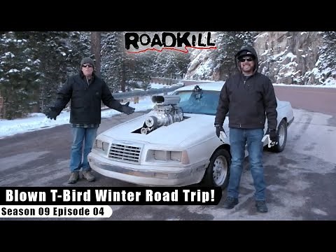 Blown T-Bird Winter Road Trip! - Roadkill S09E04 - Reality Car TV Show