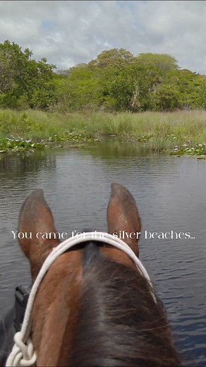 4.5K views · 73 reactions | More than beautiful beaches... bush, lakes, rivers and a rich African culture プ  | Mozambique Horse Safari | Facebook