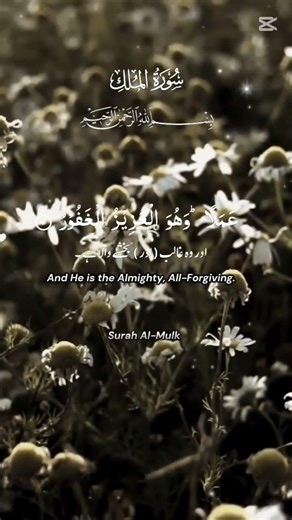 suruh al mulk