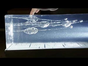 22LR Self Defense Ballistics: LCR, LCP, 43C, 21A Bobcat, PT-22. Punch, Velocitor, Stinger, Mini-Mag.