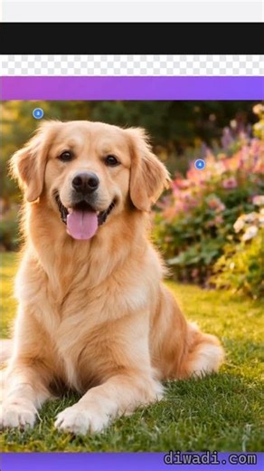 Add Step Markers to Images | Free & Offline Desktop App