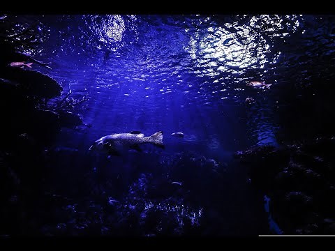 Margaret Becker - Deep Calling Deep w/lyrics