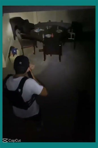 this is fax #funny #memes