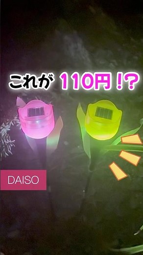【100均】新商品速報‼️コスパ最強のダイソー新商品♡ #100均 #ダイソー #ダイソー新商品 #ダイソー購入品 #ガーデン雑貨 #shorts
