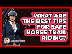 What Are The Best Tips For Safe Horse Trail Riding? - The Horses Stable