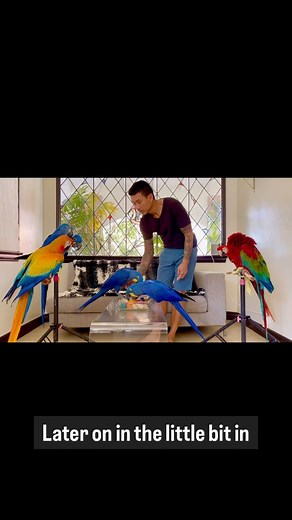 11K views · 110 reactions | You may have to watch this several times...