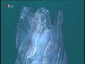 R.STRAUSS DAPHNE FINAL SCENE