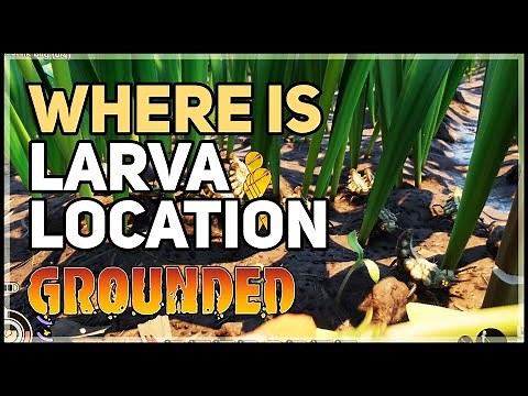 Larva Location Grounded Huge Larva Cave