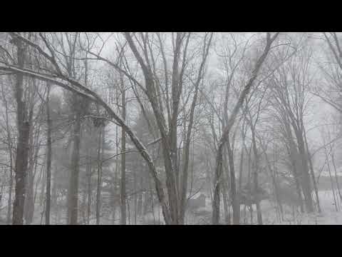 Time-Lapse: Heavy Snowfall in Jan 25, 2026