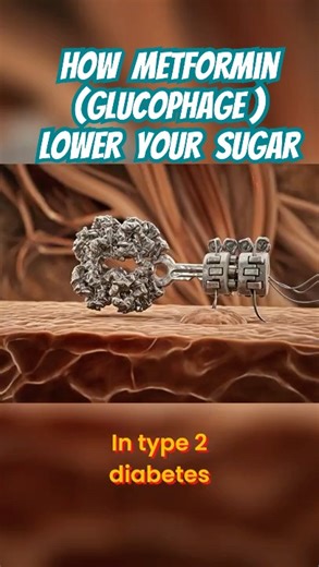 Can Metformin Really Help You Control Blood Sugar Spikes?