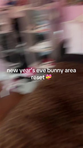happy New Year’s everybody! comment your New Year’s resolutions below | rabbits