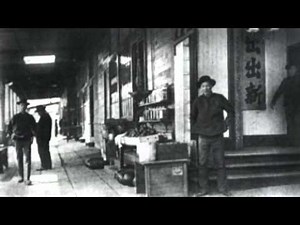 The Chinese Exclusion Act